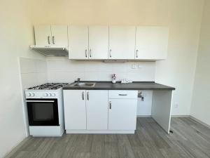 Pronájem bytu 2+1, Litvínov, Alešova, 51 m2