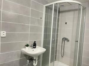Pronájem bytu 2+1, Litvínov, Alešova, 51 m2