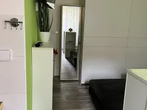 Pronájem bytu 1+kk, Ostrava, Karla Pokorného, 27 m2