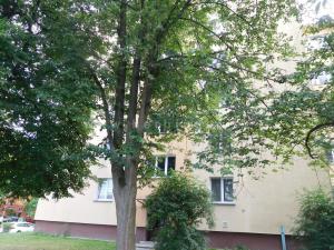 Pronájem bytu 2+1, Ostrava - Poruba, Čkalovova, 55 m2