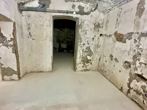 Prodej komerční nemovitosti, Praha - Břevnov, Heleny Malířové, 63 m2