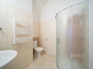 Pronájem bytu 2+kk, Třeboň, Březanova, 54 m2