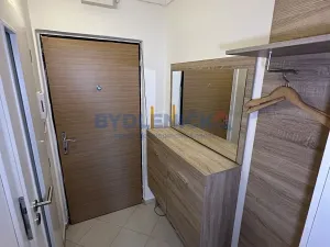 Pronájem bytu 1+kk, Borovany, Třeboňská, 28 m2