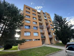 Pronájem bytu 1+kk, Borovany, Třeboňská, 28 m2