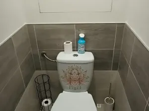 Pronájem bytu 1+kk, Ostrava, Lumírova, 30 m2