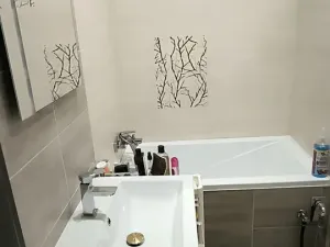 Pronájem bytu 1+kk, Ostrava, Lumírova, 30 m2
