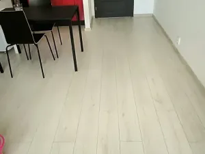 Pronájem bytu 1+kk, Ostrava, Lumírova, 30 m2
