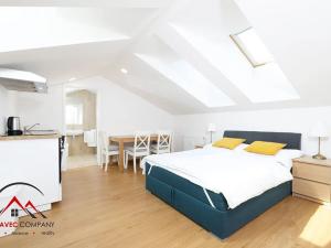 Pronájem bytu 1+kk, Ostrava, Cihelní, 30 m2