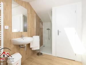 Pronájem bytu 1+kk, Ostrava, Cihelní, 30 m2