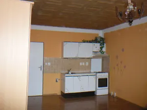 Pronájem bytu 1+kk, Orlová, F. S. Tůmy, 33 m2