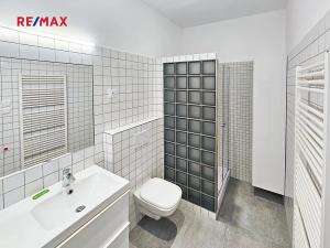 Pronájem bytu 3+kk, Praha - Žižkov, Vlkova, 146 m2