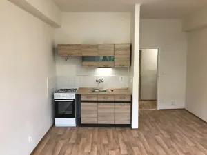 Pronájem bytu 1+kk, Most, Vítězslava Nezvala, 30 m2