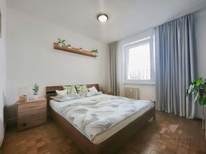 Pronájem bytu 3+1, Brumov-Bylnice - Brumov, Družba, 69 m2