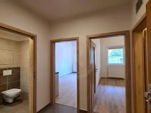 Pronájem bytu 2+kk, České Budějovice, Riegrova, 65 m2