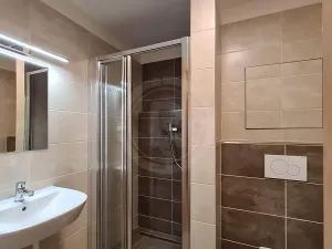 Pronájem bytu 2+kk, České Budějovice, Riegrova, 65 m2