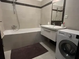 Pronájem bytu 2+kk, Liberec, U Koupaliště, 69 m2