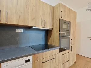 Prodej bytu 2+kk, Brno, Stavební, 41 m2