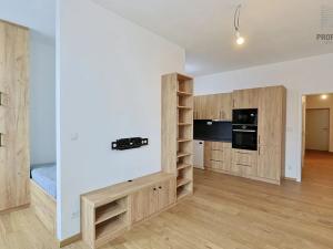 Prodej bytu 2+kk, Brno, Stavební, 41 m2