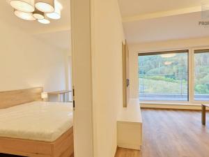 Pronájem bytu 2+kk, Brno, Bystrcká, 56 m2