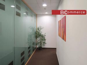 Pronájem kanceláře, Brno, 60 m2