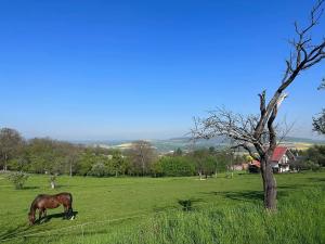 Prodej pozemku pro bydlení, Soběsuky, 4700 m2