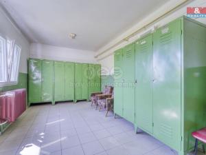 Pronájem garáže, Nepomuk - Dvorec, 378 m2