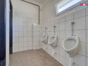 Pronájem garáže, Nepomuk - Dvorec, 378 m2