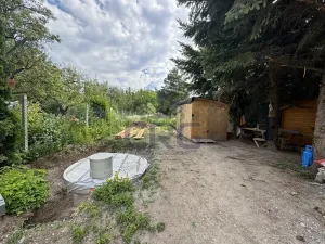 Prodej bytu 3+kk, Česká, 87 m2