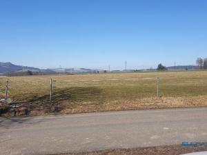 Prodej louky, Police nad Metují, 8002 m2