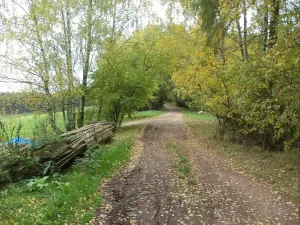 Dražba pozemku, Lázně Bělohrad, 2376 m2
