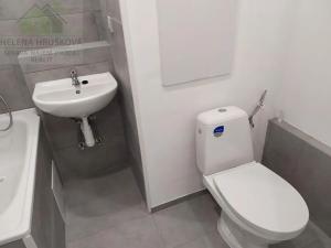 Pronájem bytu 1+kk, Ostrava, Bohumínská, 27 m2