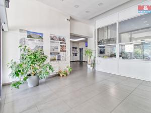 Prodej bytu 3+1, Chomutov, Březenecká, 72 m2