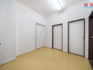 Pronájem bytu 1+kk, Strašice, 51 m2