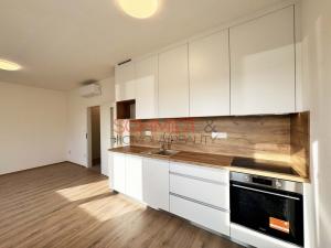 Pronájem bytu 1+kk, Hustopeče, Alejní, 30 m2