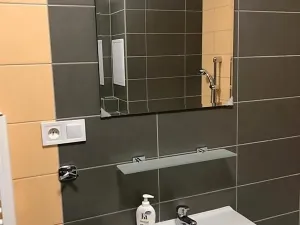 Pronájem bytu 2+kk, Plzeň, Poděbradova, 58 m2