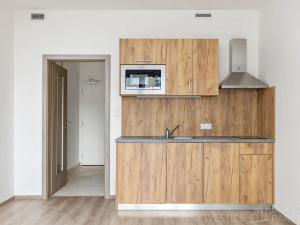 Pronájem bytu 1+kk, Praha - Vršovice, Petrohradská, 30 m2