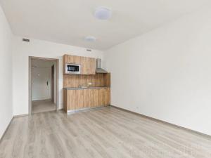 Pronájem bytu 1+kk, Praha - Vršovice, Petrohradská, 30 m2