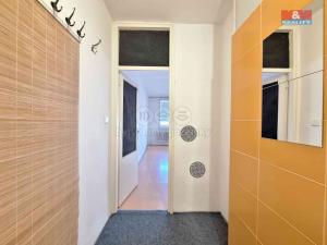 Pronájem bytu 1+kk, Ostrava - Moravská Ostrava, U Parku, 25 m2