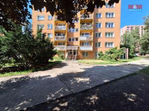 Pronájem bytu 1+kk, Ostrava - Moravská Ostrava, U Parku, 25 m2