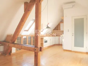 Pronájem bytu 3+kk, Praha - Střešovice, Slunná, 120 m2
