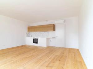 Pronájem bytu 1+kk, Brno, Bratislavská, 40 m2
