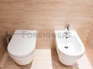 Pronájem bytu 3+kk, Brno, Kopečná, 156 m2