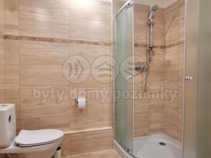 Pronájem bytu 1+1, Hradec Králové - Nový Hradec Králové, Prostějovská, 38 m2