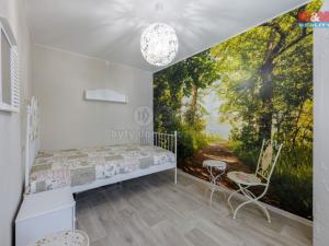 Prodej rodinného domu, Františkovy Lázně - Žírovice, 270 m2