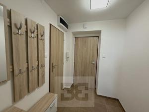 Pronájem bytu 1+1, Neratovice, Školní, 30 m2