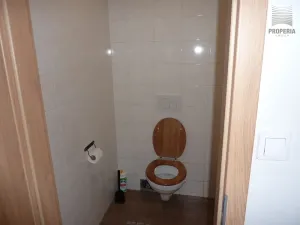 Prodej rodinného domu, Horní Věstonice, 130 m2
