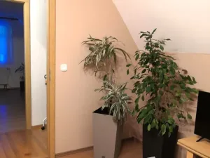 Prodej rodinného domu, Rathmannsdorf, Německo, 120 m2