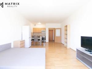 Pronájem bytu 1+kk, Praha - Řeporyje, Wiesenthalova, 42 m2