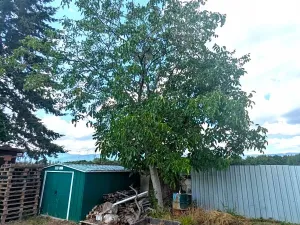 Prodej chaty, Teplice, Bratislavská, 30 m2