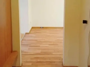 Pronájem bytu 1+1, Chomutov, Karla Buriana, 47 m2